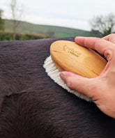 100% FSC Certified® Equine Grooming Brush – Ultra Soft Goat Hair
