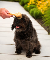 100% FSC Certified® Natural Pet Grooming Brush - Soft Natural Bristle