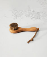 100% FSC Certified® Natural Shoe Polish & Shine Brush - Stiff Horsehair