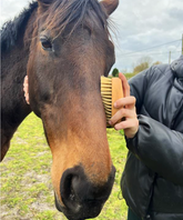 100% FSC Certified® Natural Equestrian Grooming Brush Gift Set