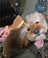 100% FSC Certified® Natural Angled Pet Grooming Brush - Soft Natural Bristle