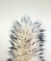 100% FSC Certified® Natural Electrostatic Lambswool Duster