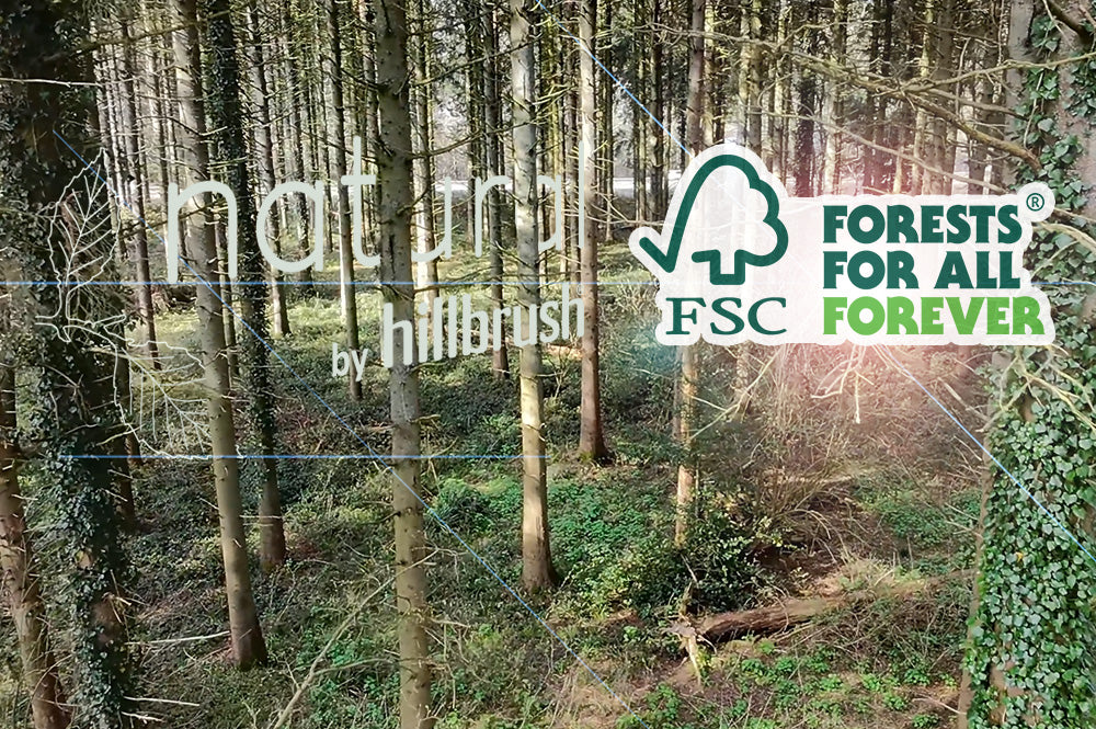 FSC® Certified: What It Really Means (And Why It Should Matter to You)