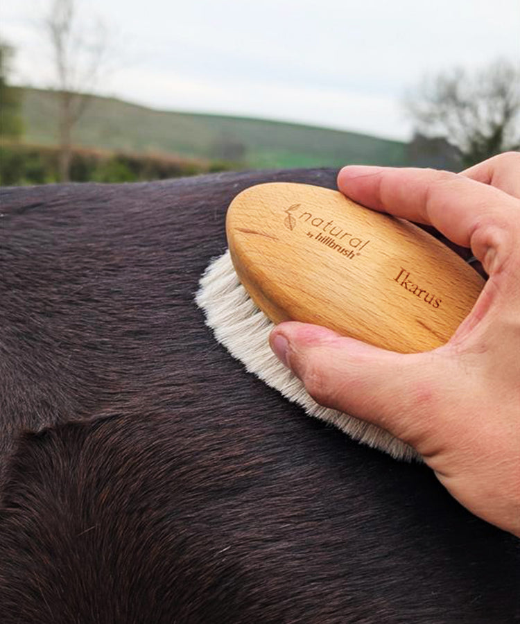 100% FSC Certified® Equine Grooming Brush – Ultra Soft Goat Hair
