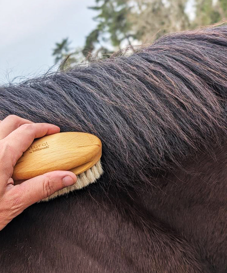 100% FSC Certified® Equine Grooming Brush – Ultra Soft Goat Hair