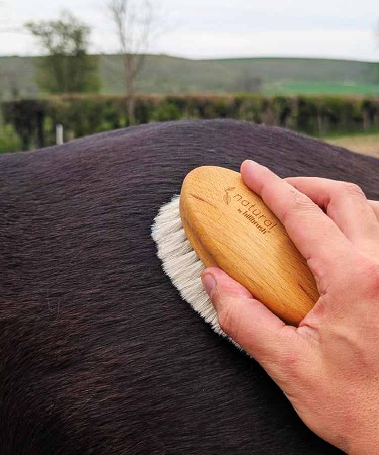 100% FSC Certified® Equine Grooming Brush – Ultra Soft Goat Hair