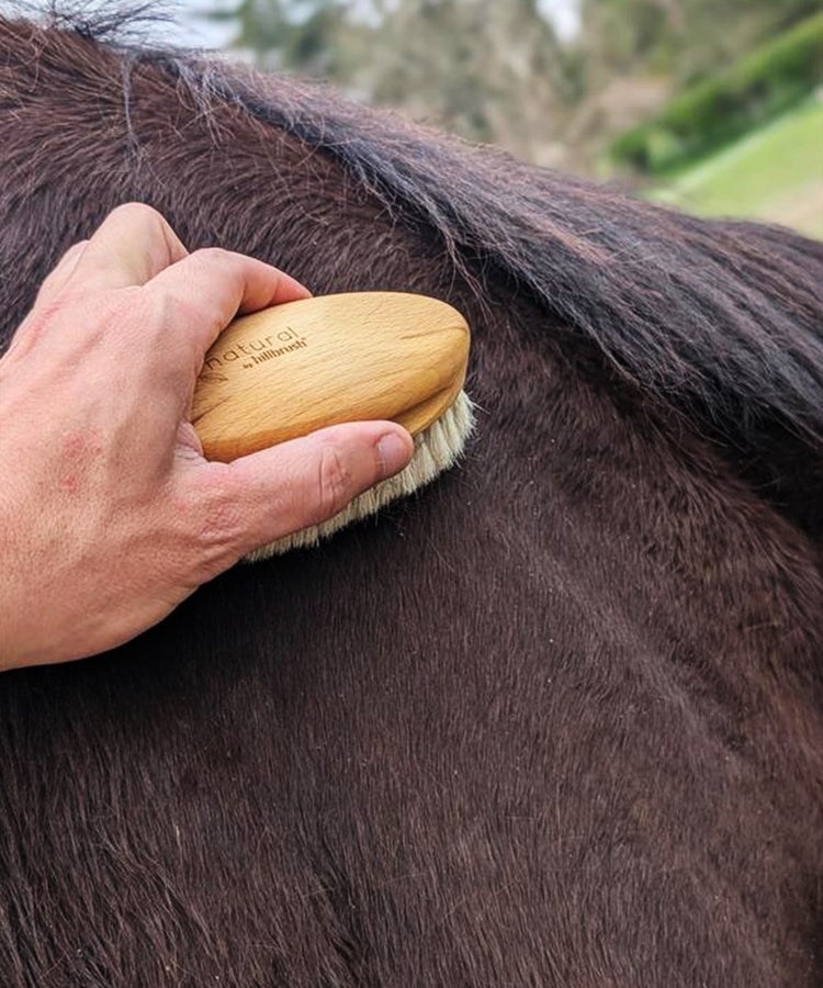 100% FSC Certified® Equine Grooming Brush – Ultra Soft Goat Hair