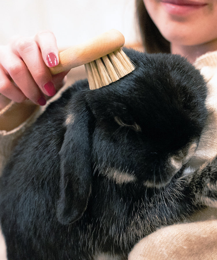 100% FSC Certified® Natural Pet Grooming Brush - Soft Natural Bristle