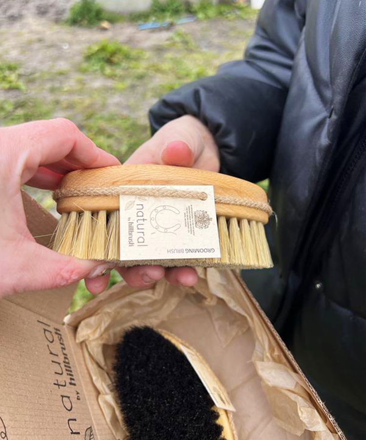 100% FSC Certified® Natural Equestrian Grooming Brush Gift Set
