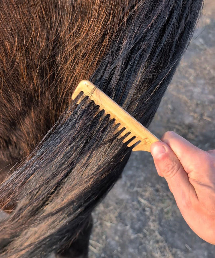 100% FSC Certified® Natural Equestrian Grooming Brush Gift Set