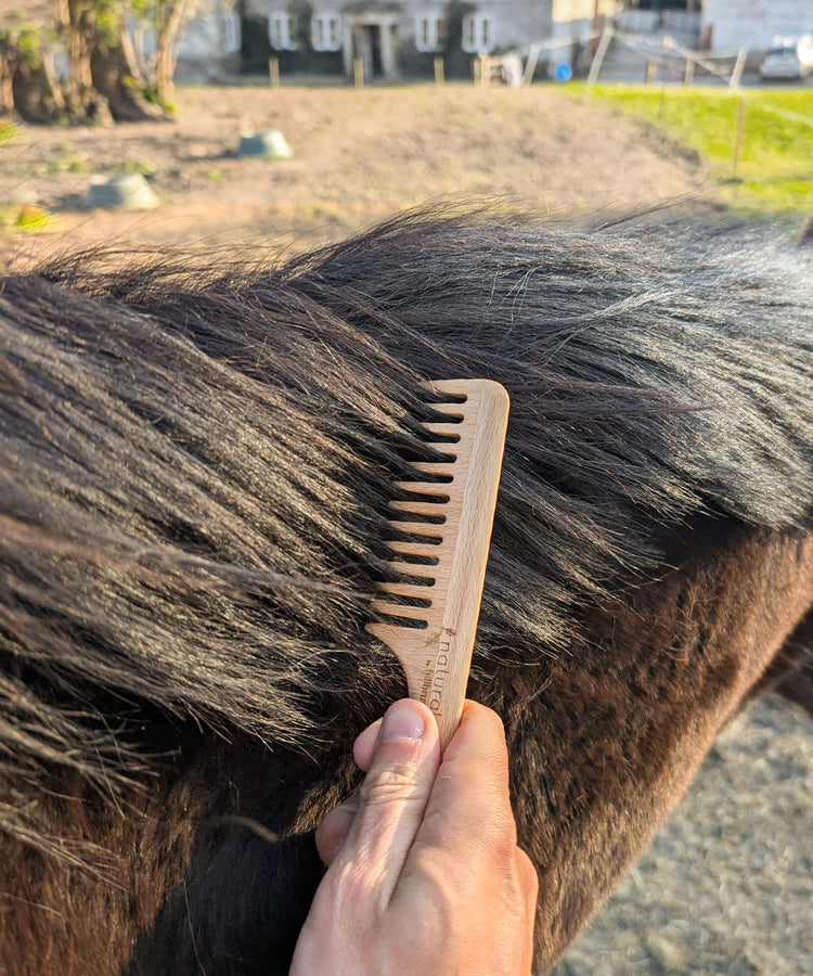 100% FSC Certified® Natural Equestrian Grooming Brush Gift Set