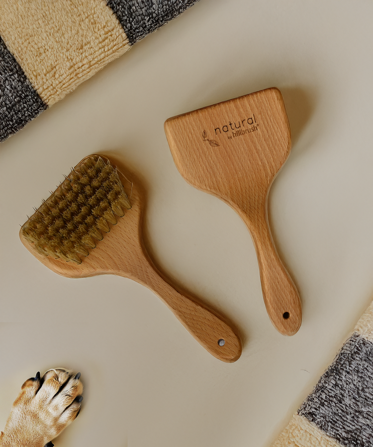 100% FSC Certified® Natural Angled Pet Grooming Brush - Soft Natural Bristle